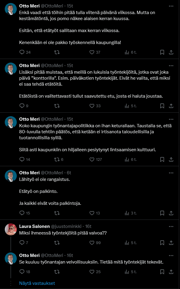 Otto Meren perusteluja esitykselle